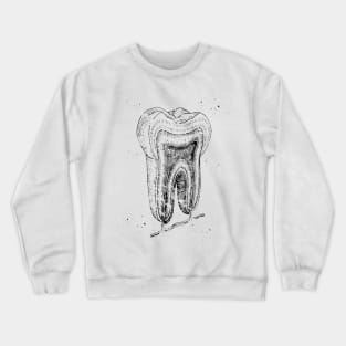 Human tooth structure Crewneck Sweatshirt